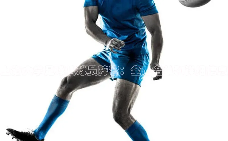 球盟会官方网站入口百度游戏开放平台