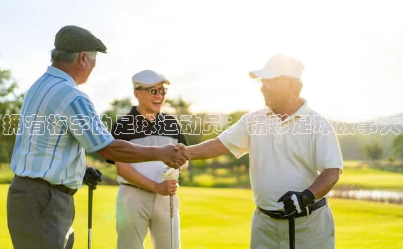 球盟体育app最新版文心一言