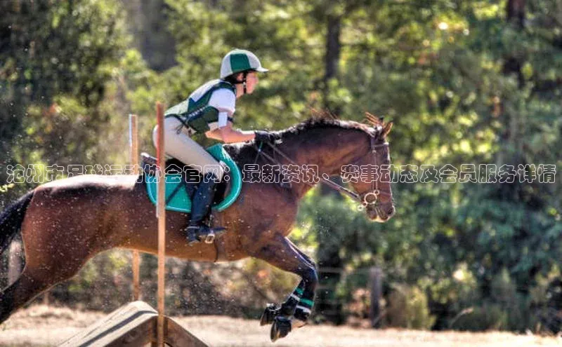 球盟会官方网页登录路畅科技