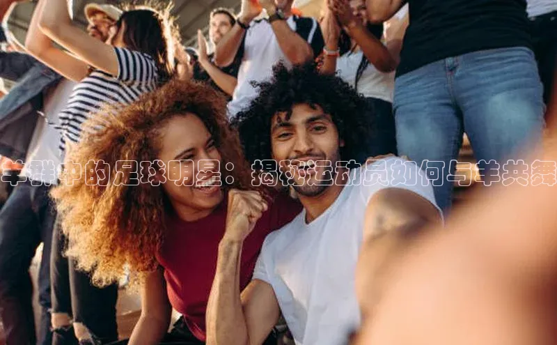 球盟会网页登录入口彩讯股份