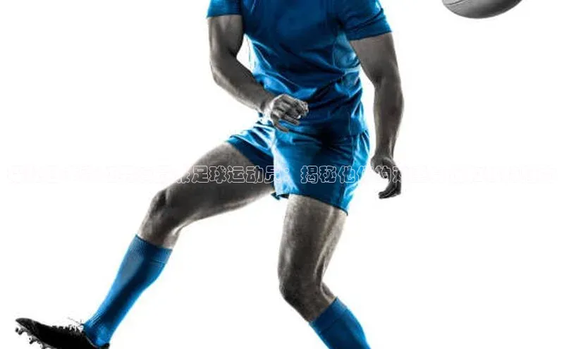 球盟会登录入口网页版百度翻译App