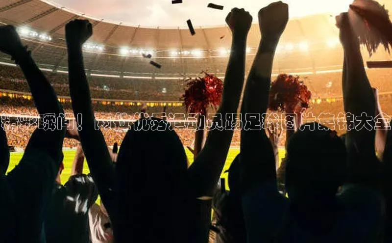 球盟会官网入口ARGA公司