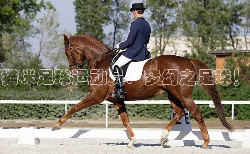 球盟会登录网址百度数据开放平台