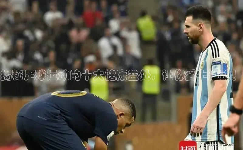 球盟会登录入口网页版中文在线