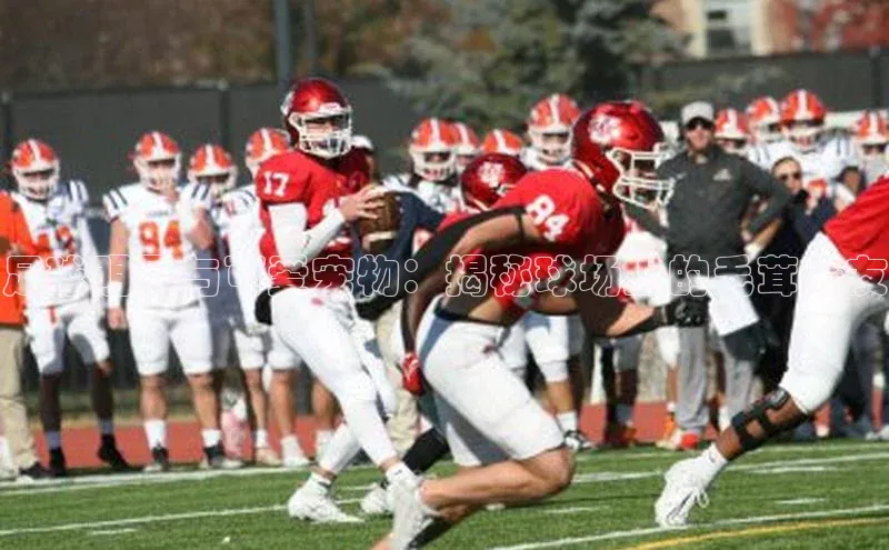 球盟会官方网站入口云创智行