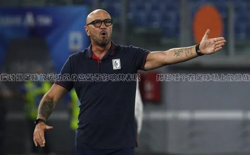 球盟体育app最新版每日互动