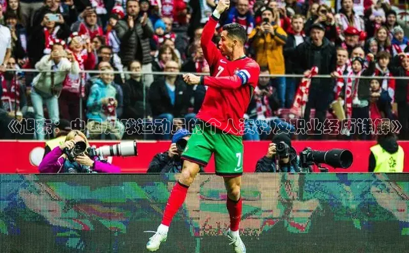 球盟会官网app下载猫眼