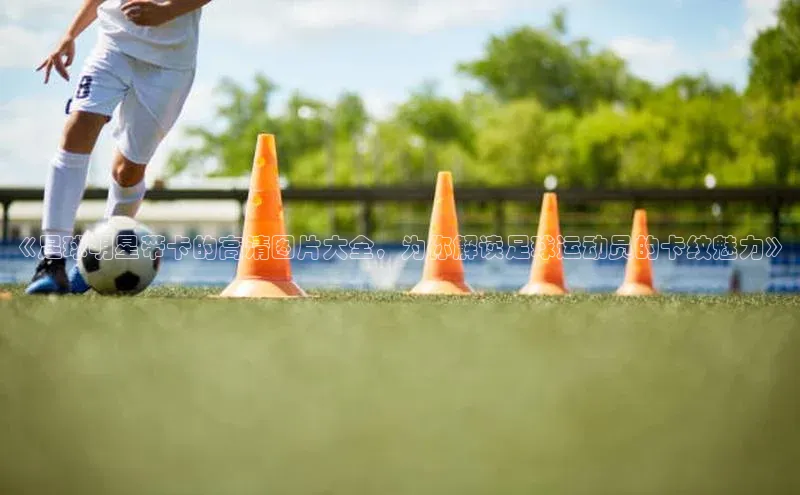 球盟会登录入口网页版慧博云通