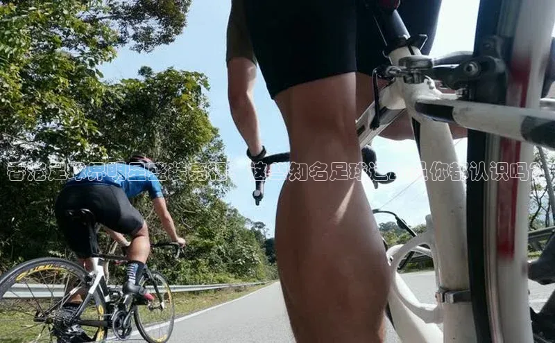 球盟会qmh网址百度游戏