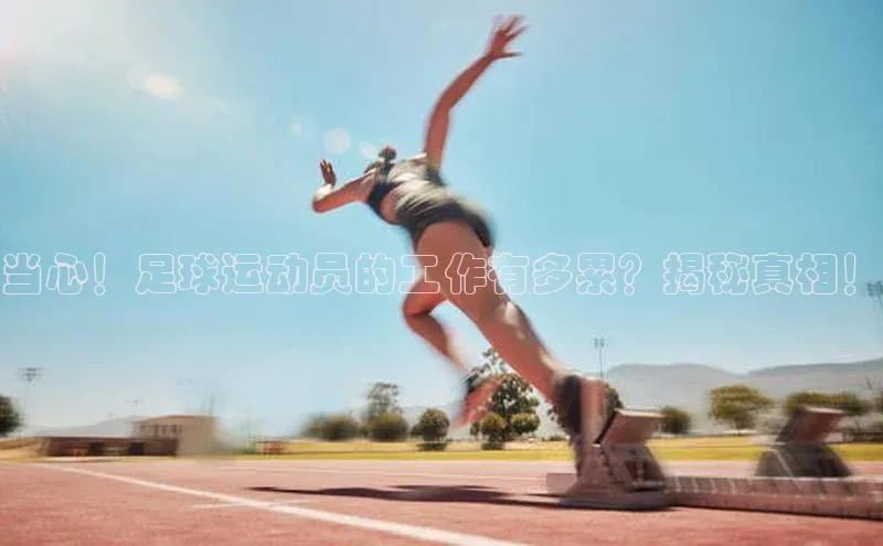 qm球盟会金山办公