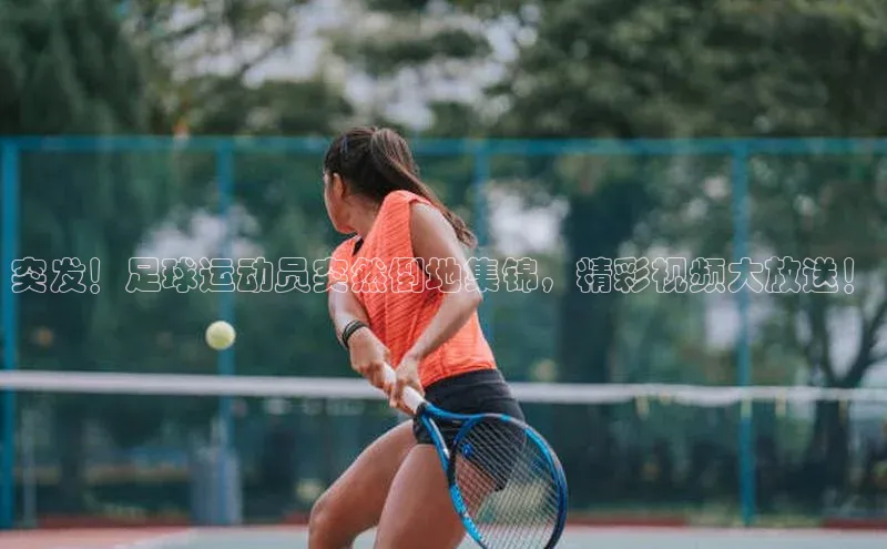 球盟会登录网址京东