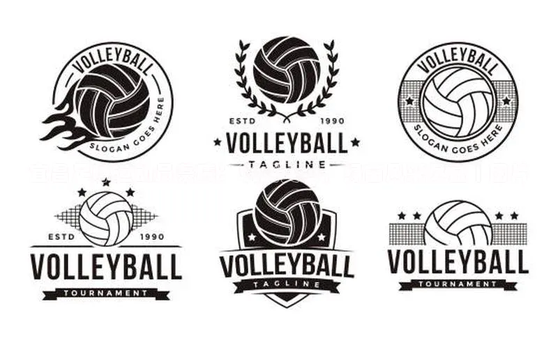 球盟会在线官网雷柏科技