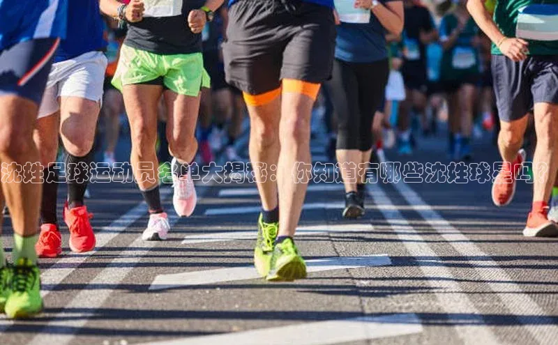 球盟会官方app首页入口百度手机输入法