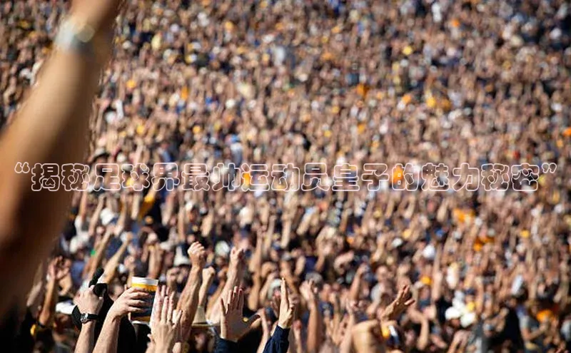 球盟会登录网址京东