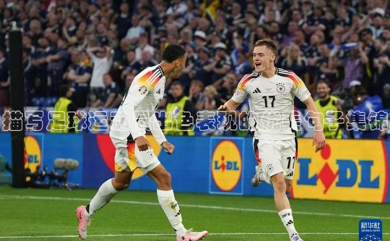 球盟体育小红书