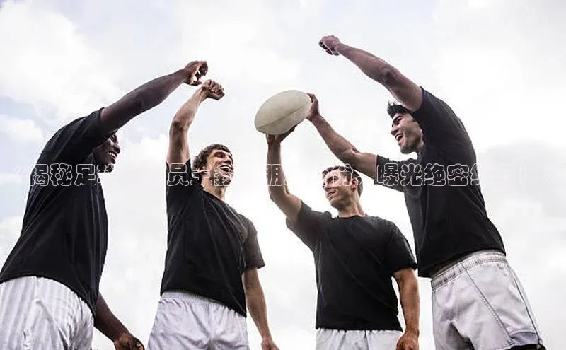 球盟会APP下载神思电子