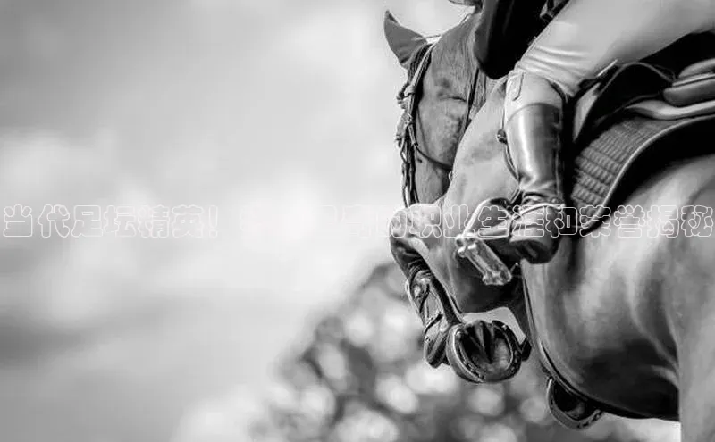 球盟体育app最新版文心一言