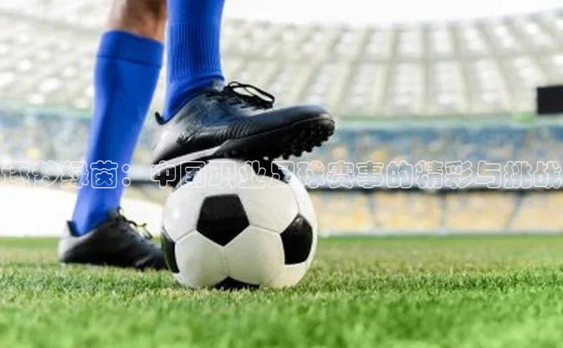 球盟会(中国)官方网站