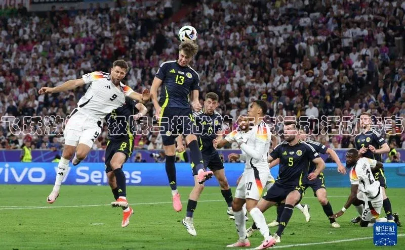 球盟会官网登录入口