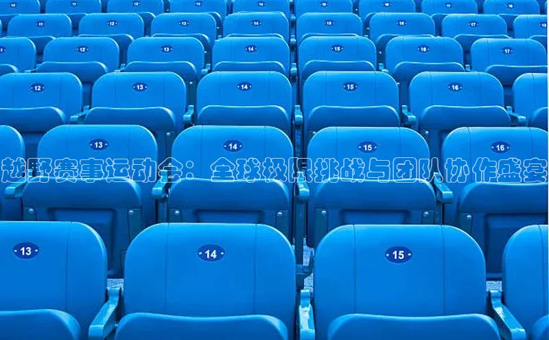 球盟会登录入口网页版