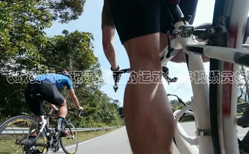 球盟会登录入口网页版