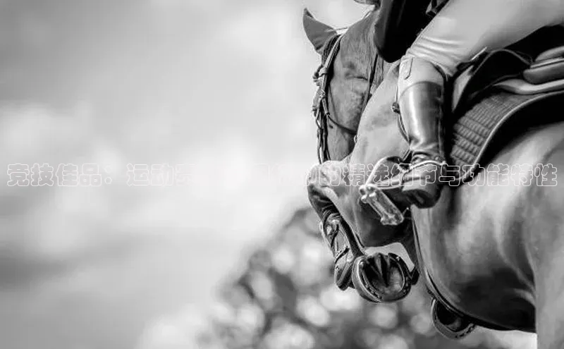 球盟会官方网入口