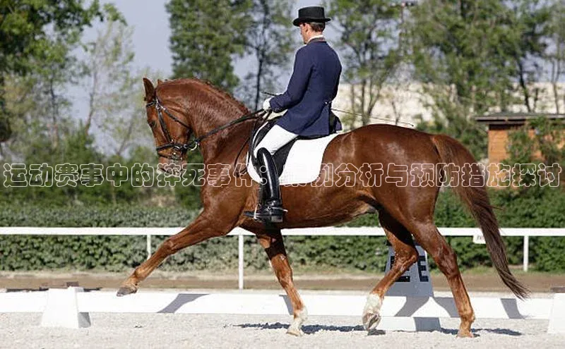 球盟会网页登录入口