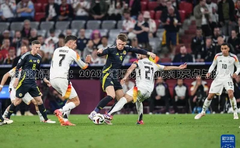 球盟会官方网站入口