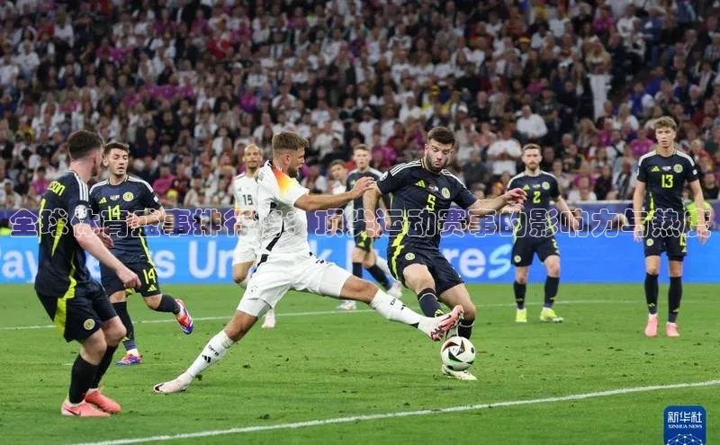 球盟会官网入口下载