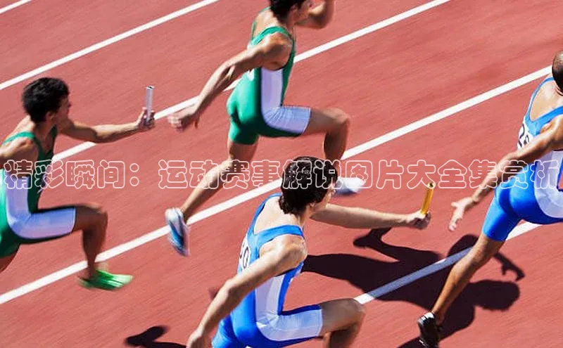 球盟会官网入口下载