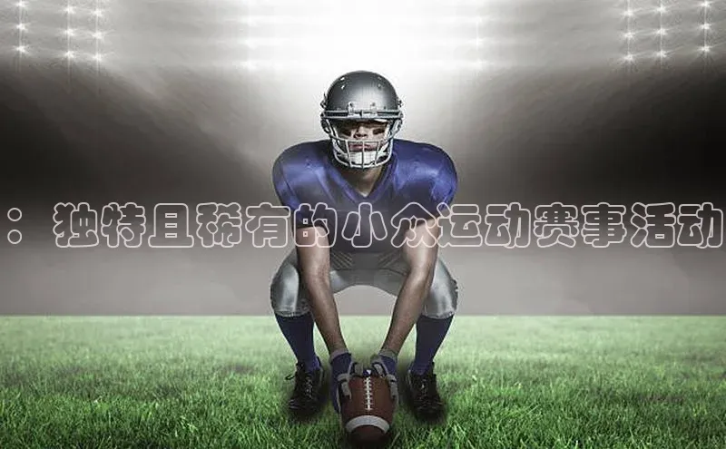 球盟会登录入口网页版